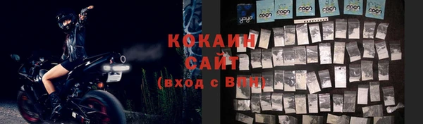 дживик Лагань